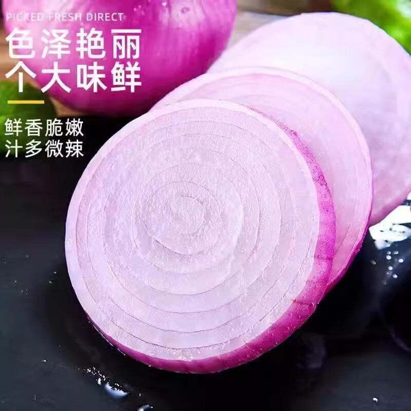 相遇红颜云南紫皮洋葱新鲜圆葱蔬菜辛辣脆爽调味 紫皮洋葱净重5斤