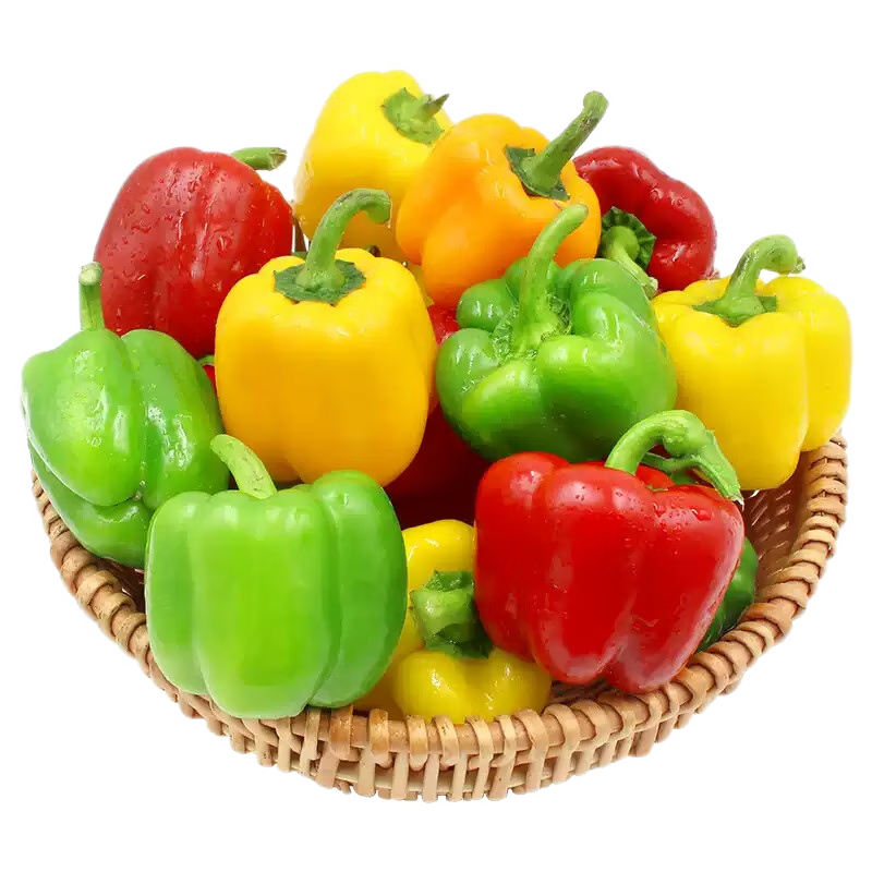 ���� ɽ����ɫ��ʽ� ����5��װ ����100g+ Բ���� ũ��Դͷֱ��