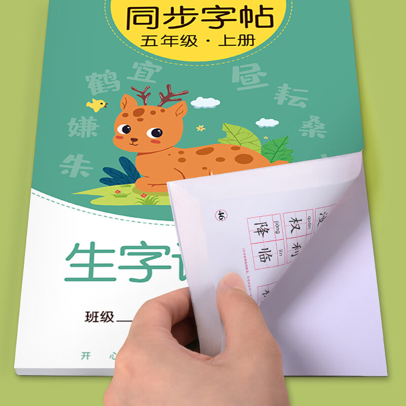 金枝叶五年级字帖上下册临摹练字帖小学生专用同步练字本语文人教版硬笔书法儿童楷书练习 五年级上册（共46页）