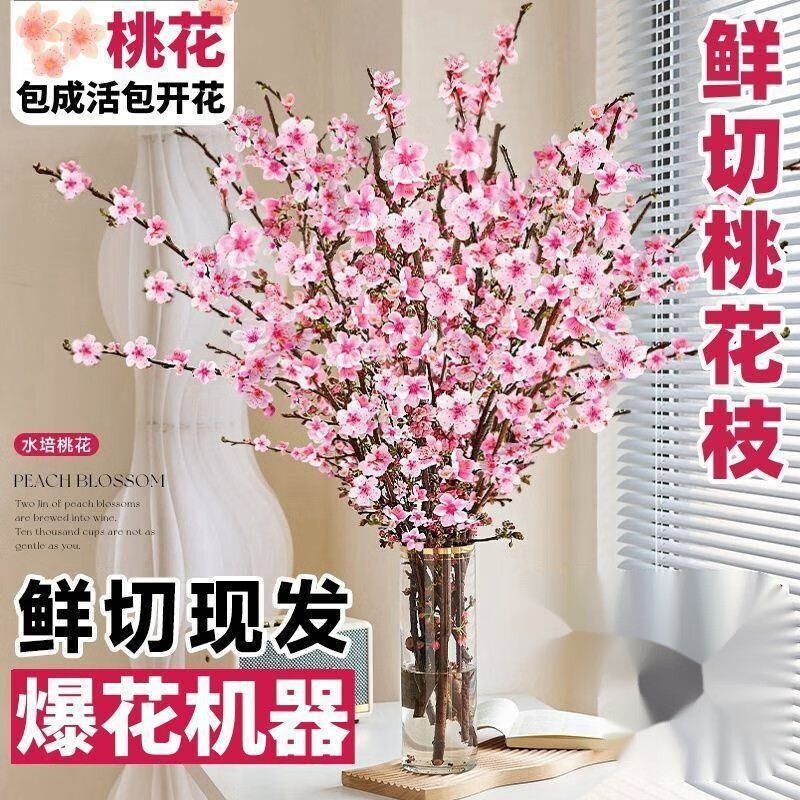 桃花枝水培植物室内好养雪柳鲜枝水养红梅干枝鲜切花卉绿植 20支装【含红色花瓶】