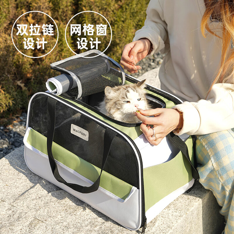 ���ɶ�è�������Я���è�����ᷫ����С��Ȯ�������г��ع���