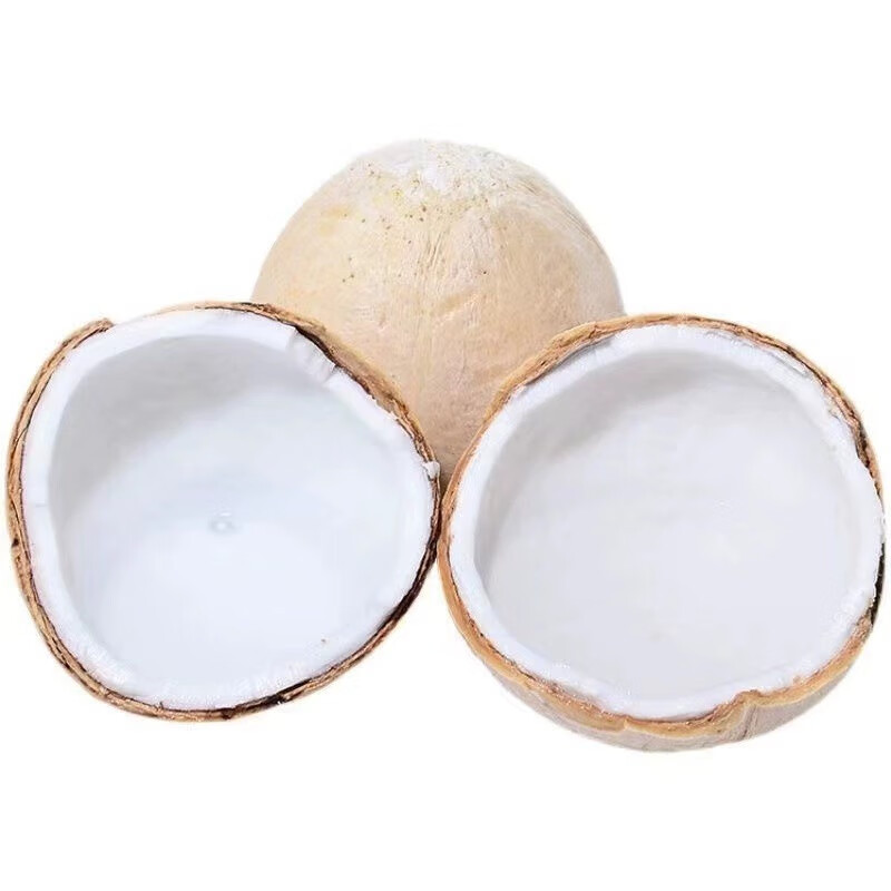 鲜友季海南牛奶椰皇椰白新鲜椰子椰汁水果孕妇补羊水水果配吸管 8枚中果（单果1斤-1.5斤）