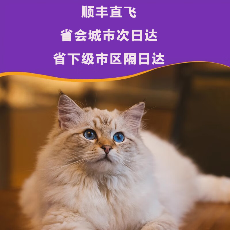 44I1猫腹传针剂油剂干性湿性传腹正品片剂大肚子腹水精神食欲差 4KG口服片剂【10片】1盒