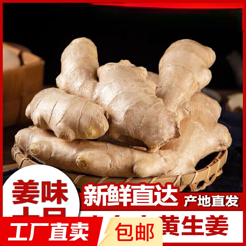 【产地直发】山东大姜生姜干姜老姜农家自种 新鲜蔬菜 精选大姜 3斤