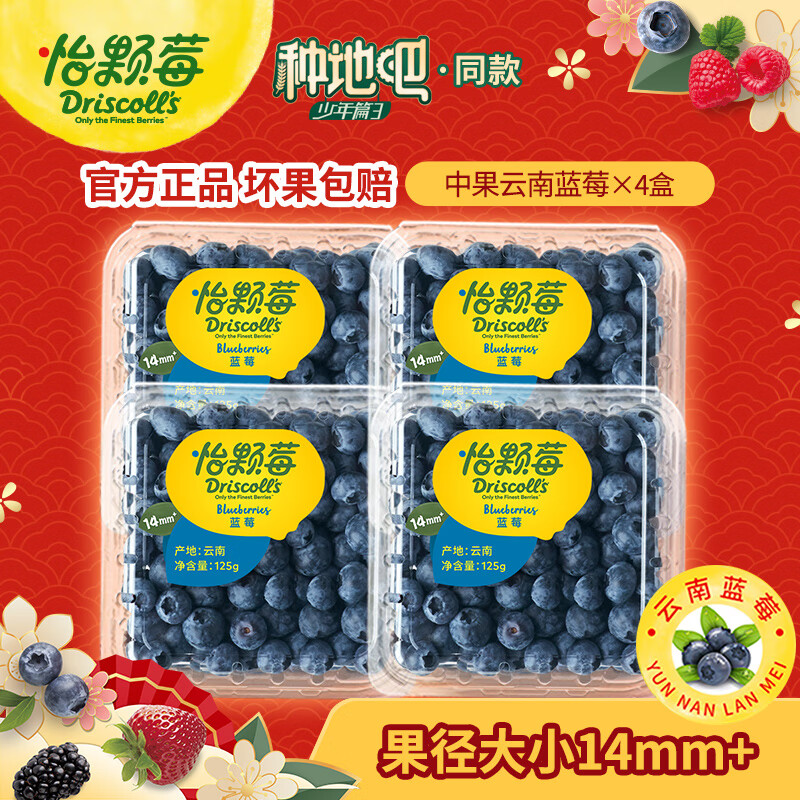 怡颗莓【口感清脆】当季云南蓝莓 国产 新鲜蓝莓 生鲜水果礼盒 蓝莓中果125g*4盒