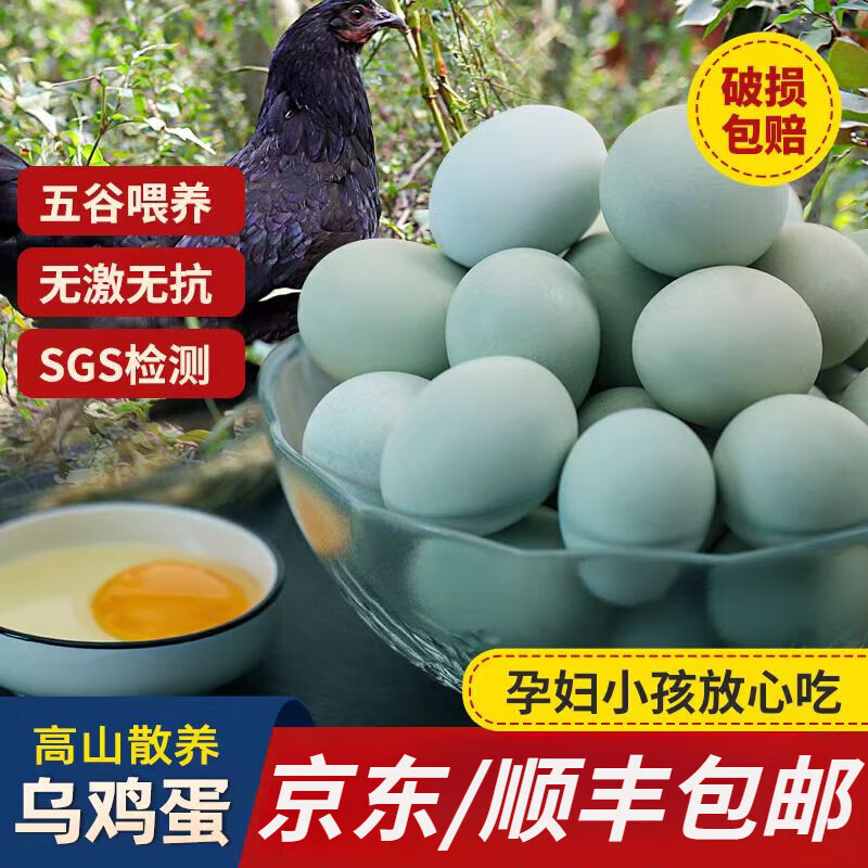 鄉(xiāng)公館烏雞蛋新鮮正宗農(nóng)家散養(yǎng)綠皮柴山雞蛋整箱草笨綠殼土雞蛋新鮮雞蛋 烏雞蛋100枚
