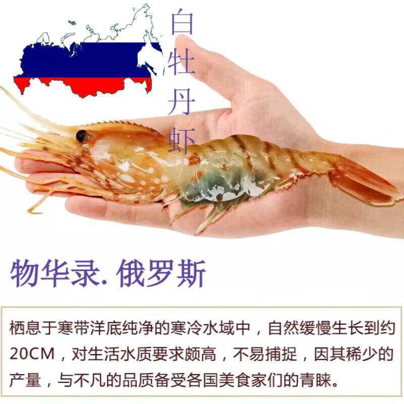 俄羅斯進(jìn)口野生白牡丹蝦熊紋長(zhǎng)額蝦日料刺身海鮮 俄羅斯白牡丹蝦 1kg(凈重)  原箱 19-22cm 7-8只/斤