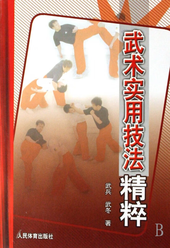 武术实用技法精粹