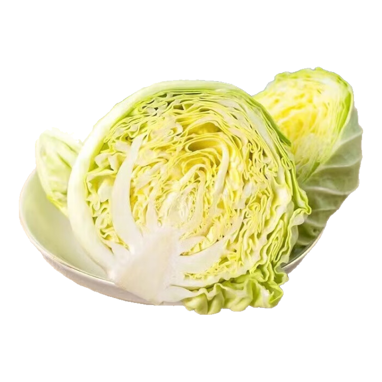 沈佳農(nóng)有機(jī)綠甘藍(lán)5斤 健康有機(jī)包菜卷心菜  一件順豐快遞上門(mén) 沈佳農(nóng)有機(jī)綠甘藍(lán)5斤