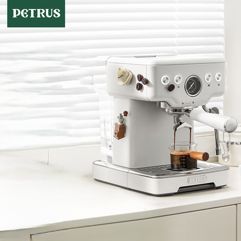 柏翠（petrus）咖啡机意式浓缩家用小型半自动蒸汽打奶泡 PE3833 海盐小方pro