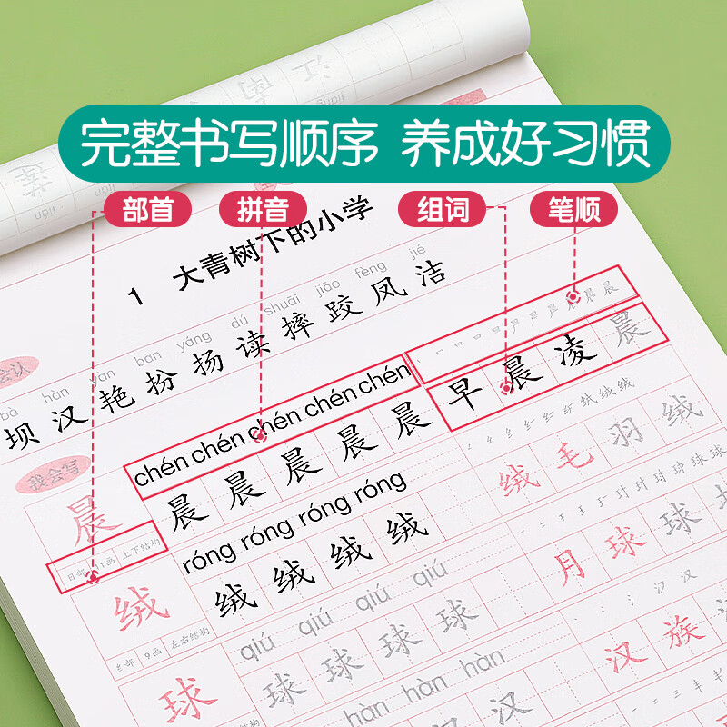 金枝叶三年级字帖上下册临摹练字帖小学生专用同步练字本语文人教版硬笔书法儿童楷书练习 三年级上册（共46页）