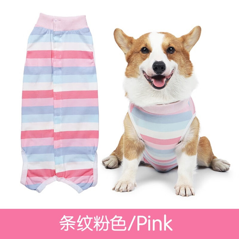 拉维佩特（LOVINGPET）狗狗绝育手术服 小型犬绝育衣服狗狗术后服公狗母狗绝育服防舔 粉色 S 建议3-5斤