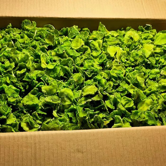 帶箱10斤萵筍干農(nóng)家自制萵苣干片干貨土特產(chǎn)脫水蔬菜干非貢菜苔干