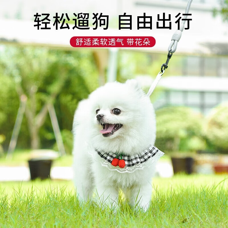 拉维佩特（LOVINGPET） 狗狗牵引绳胸背带 泰迪狗绳子可调节幼犬牵引绳小型犬遛狗绳子 蓝色 M 7-15斤左右 胸围35-60cm
