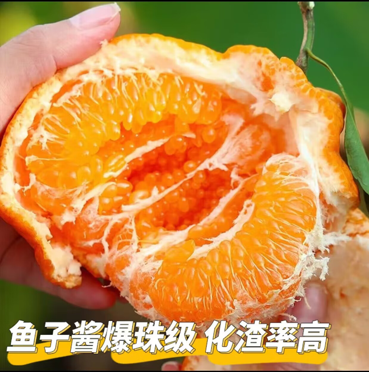 酷果汇四川春见耙耙柑粑粑柑桔橘子年货送礼盒当季彩箱新鲜水果直发 净重4.5斤-单果70MM+