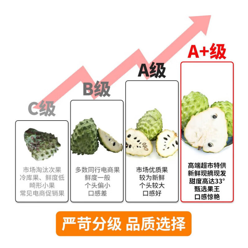 觅百果【顺丰】海南牛奶凤梨释迦果当季新鲜热带水果超甜番荔枝佛头果 净重3斤中果【约6-7个果】