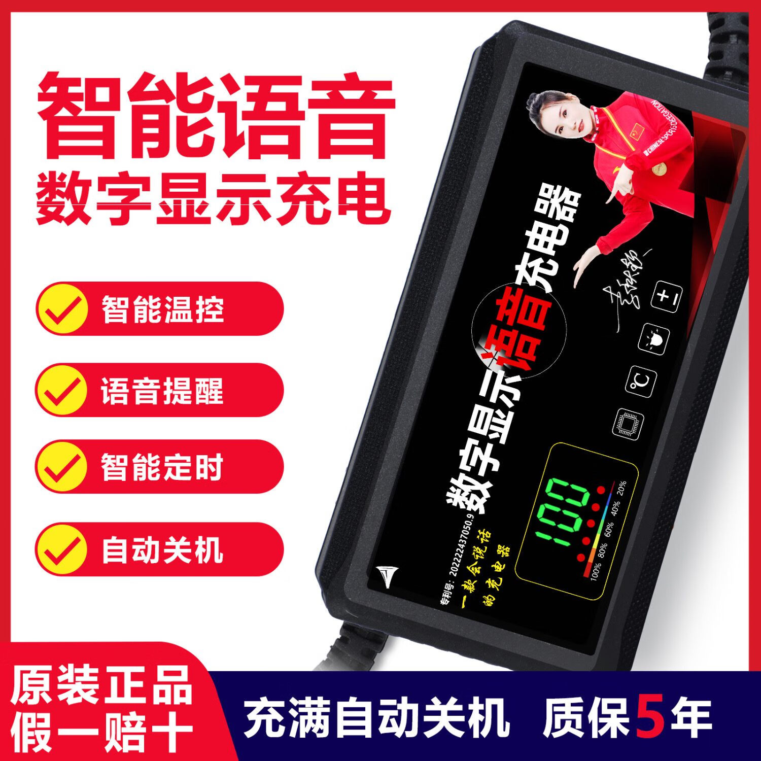 延柏语音播报数字显示电动车电瓶车充电器48V60V72V爱玛雅迪通用 语音播报48V12AH产品