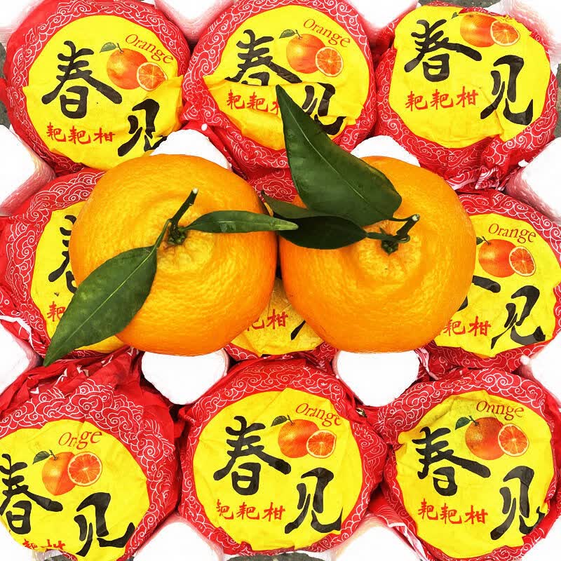 格沃斯四川正宗春见耙耙柑特级丑粑粑柑橘子当季新鲜装水果当季整箱包邮 正宗春见耙耙柑-果园直发 大果【净重4.5斤】单果75-80mm