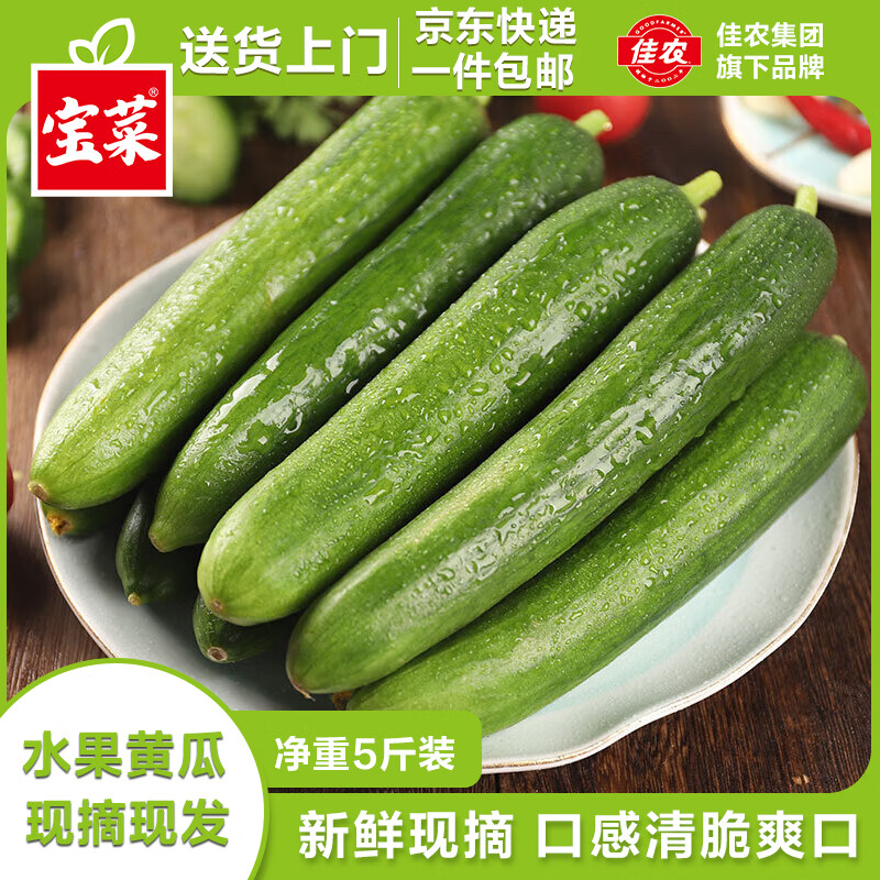 佳农宝菜山东荷兰水果黄瓜 净重5斤 新鲜蔬菜 小青瓜单果80g+源头直发