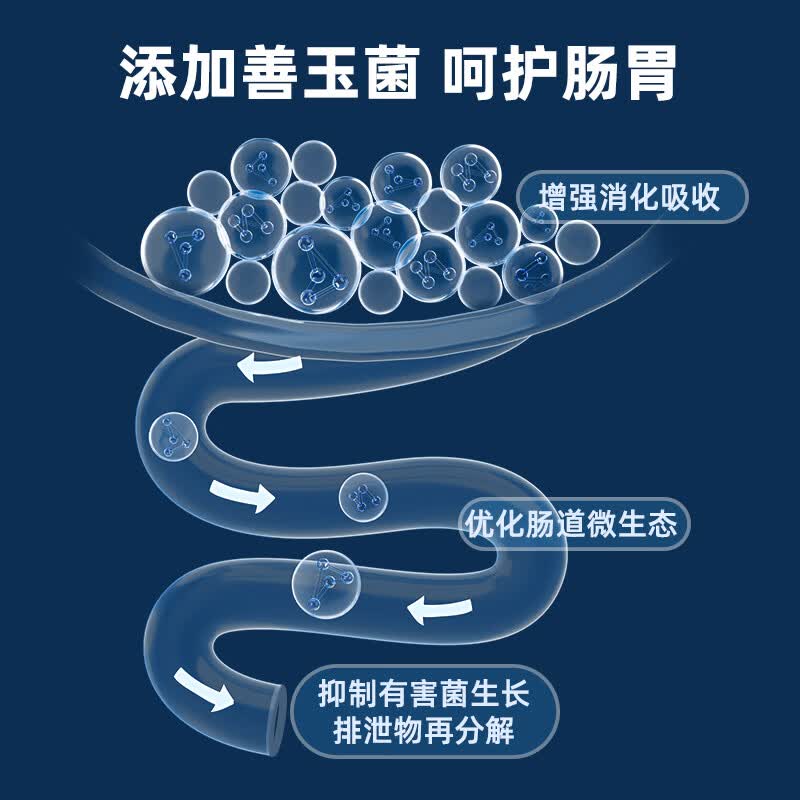神阳玄武善玉菌调理龟粮增体增色调理肠胃促代谢草龟巴西黄缘乌龟饲料 水飞蓟宾·调理幼龟粮60g【肝·守护】