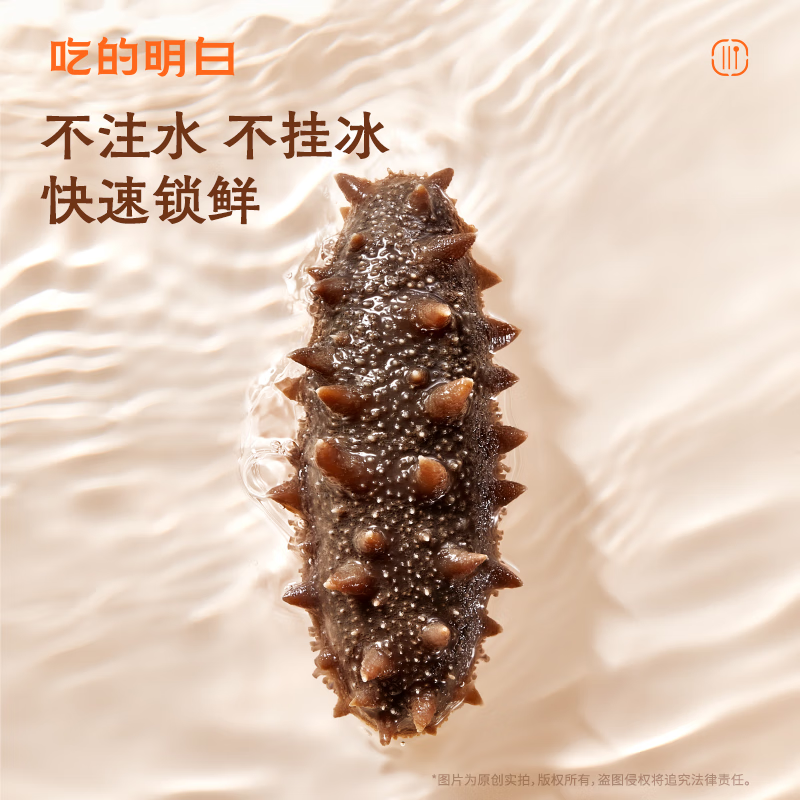 明威海参 鲜食即食海参刺参 鲜活加工独立包装单个装开袋即食冷冻海鲜礼盒 10-12头(1斤 )