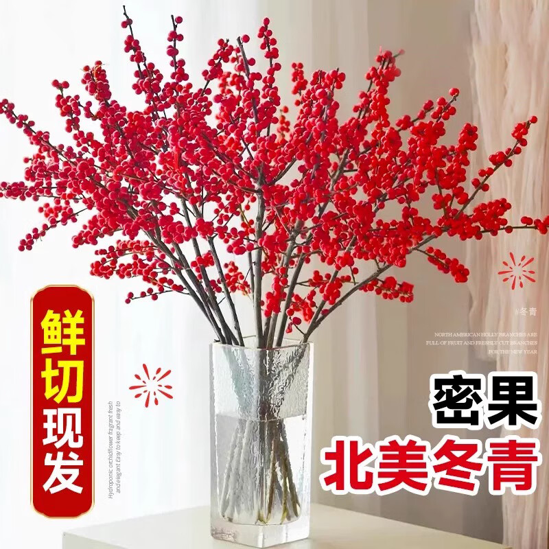花翁进口冬红果水培鲜切枝花卉绿植 优质北美冬青40cm/5枝源头直发