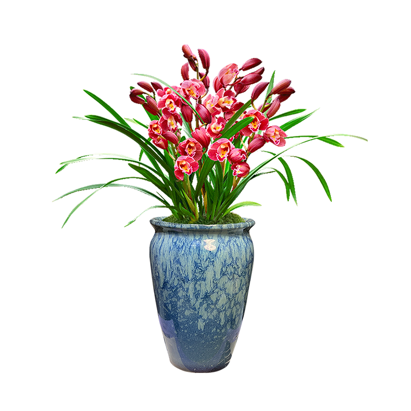 ���w�m��������������ī�����������5֧����ɽˮ�续�մ���Դͷֱ�� 159Ԫ