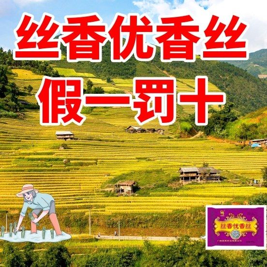 旺园兴原装正品丝香优香丝国审一级杂交水稻种子香米谷种长粒香云贵川 品质更优：丝香优香丝【1斤】