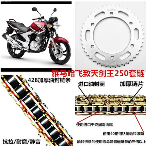 YAMAHA建設(shè)雅馬哈摩托車 YS飛致YBR250天劍王鏈輪鏈條牙盤套鏈飛致250車 油封套鏈三件套油封款