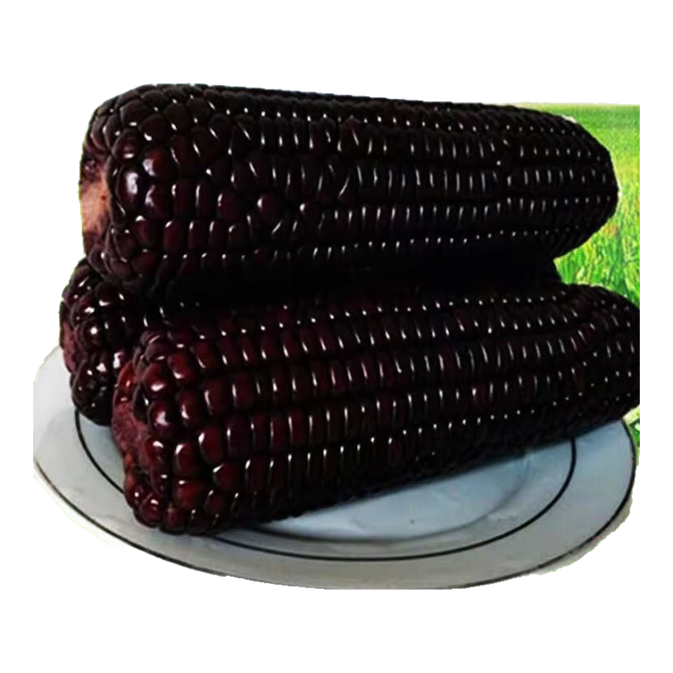 ������������Ŵ�������ӳ��������ݴ�ȫ�ļ��߲��ش��ͺ��������� �����Ŵ�������� 1��Լ50�� 3.4Ԫ