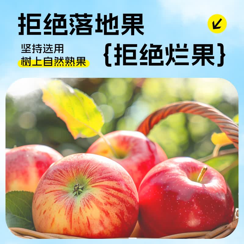 摘养100%NFC纯果汁458ml儿童饮料芒果汁结婚宴饮料送礼鲜榨水果原浆 NFC458g黄桃汁整箱12盒