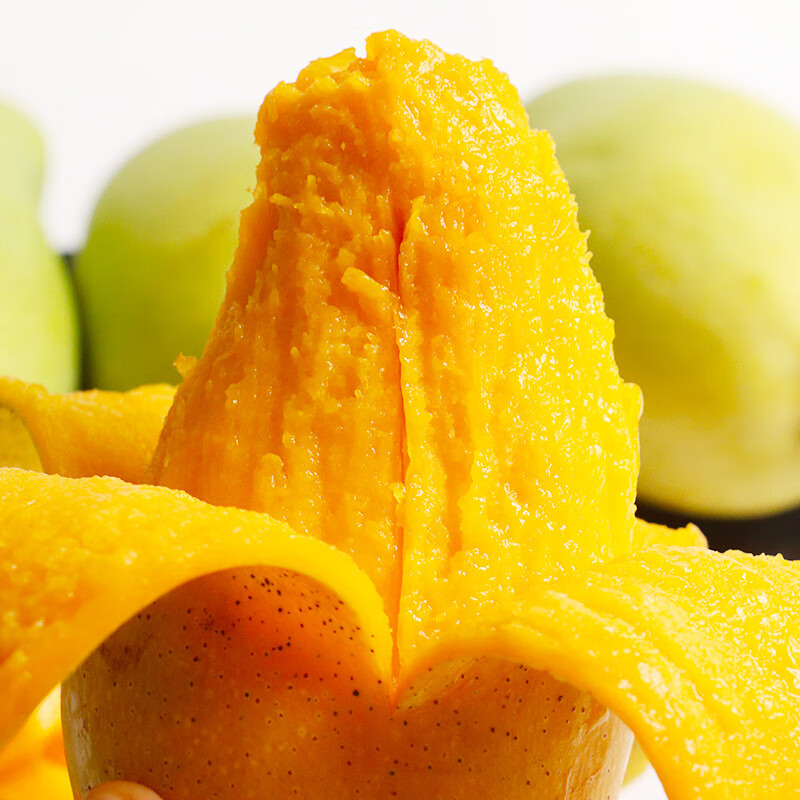 ������ ���Ͻ��â �й�����4.5��װ(����250g-400g)