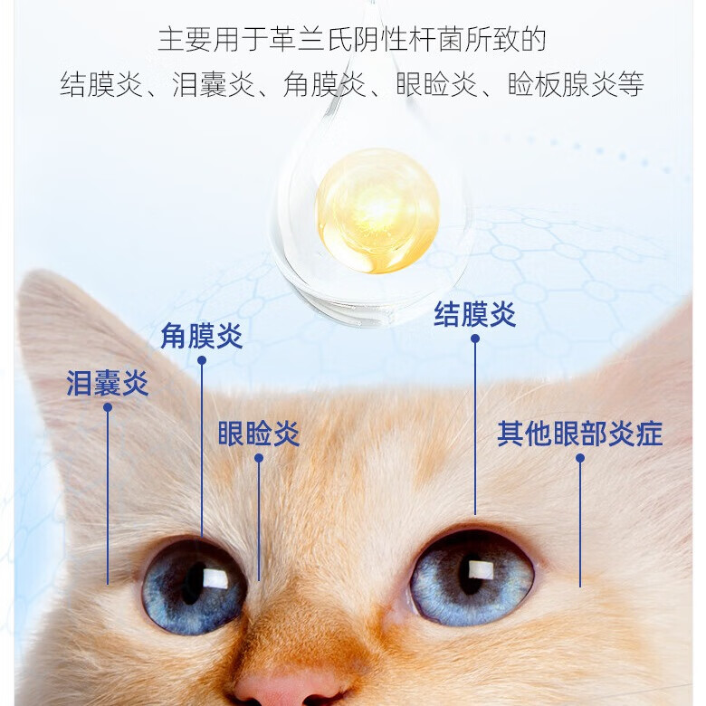 宠元爱硫酸新霉素滴眼液宠物猫咪鼻支眼药水狗狗泪痕结膜发炎流泪抗菌消炎 硫酸新霉素滴眼液*1瓶