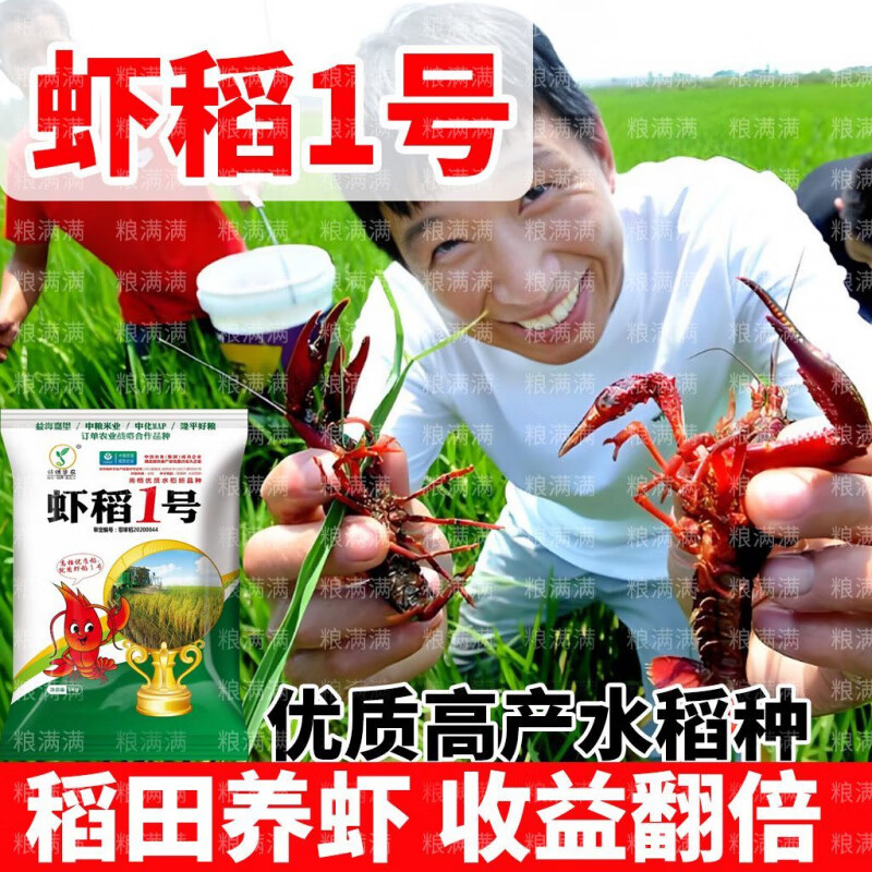 稻田龙虾养殖一亩投资成本(稻田养龙虾国家补贴多少钱一亩)