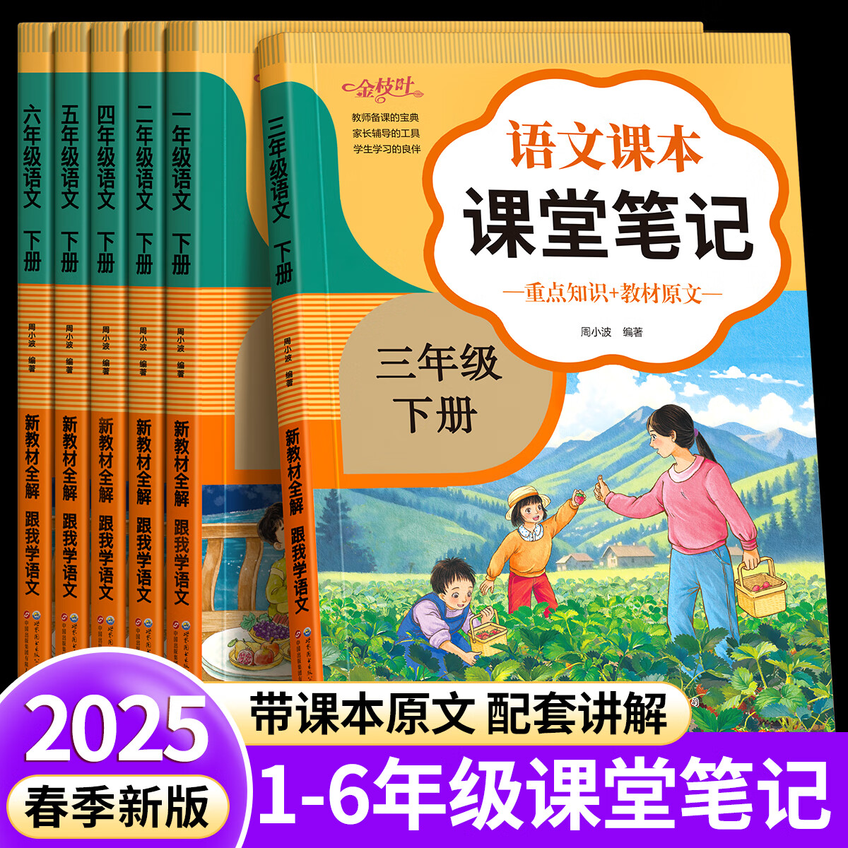 金枝叶课堂笔记一二年级三年级下册人教版课本全套教材全解正版小学生随堂笔记语文上册四五六年级小学同步练习册 六年级上册