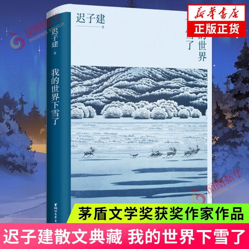 也是冬天也是春天 额尔古纳河右岸 迟子建散文小说作品集自选 茅盾文学奖得主作品 凤凰新华书店旗舰店正版书籍 我的世界下雪了【定价45】