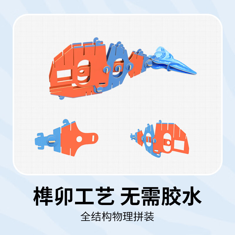 宇小探宇小探3d立体纸质玩具拼图模型小孩子男女生日儿童节日礼物伴手礼 鲸鱼标准版