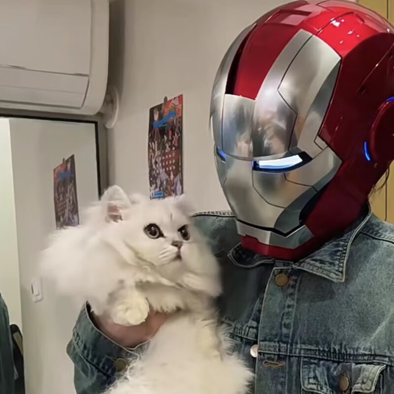 博纳思钢铁侠MK5中英文声控加触摸头盔儿童男朋友礼物潮玩人物模型 中英文语音钢铁侠MK5头盔  金色 金属拉丝  彩盒包装