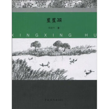 星星湖【正版书籍,畅读优品】