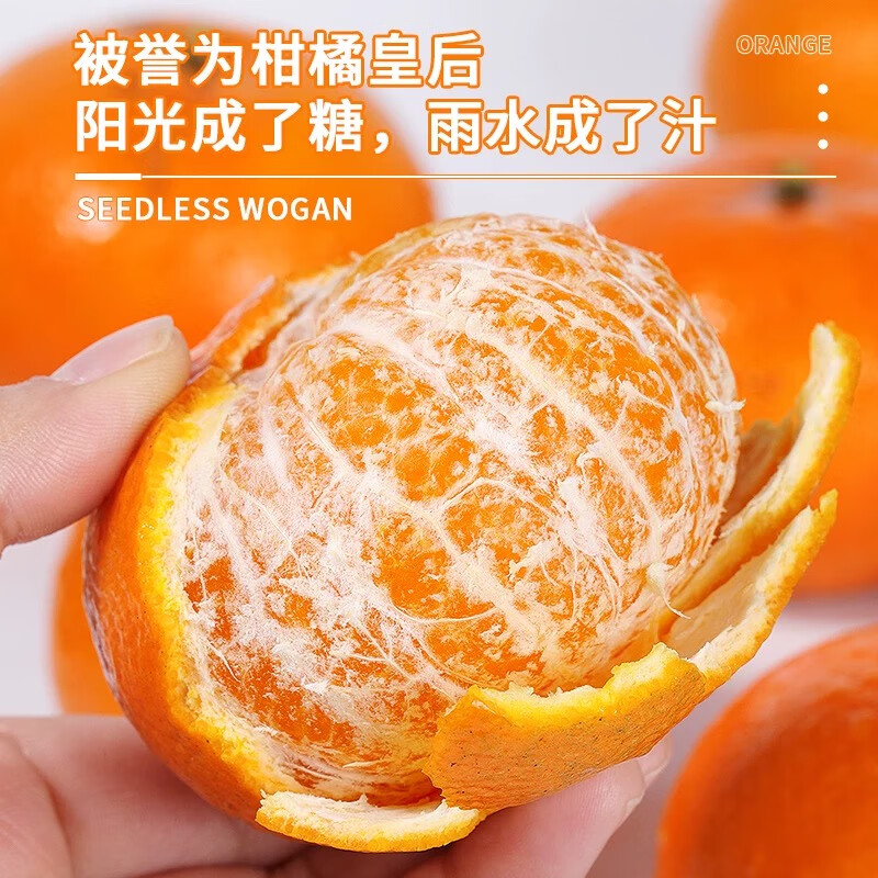 云南宾川高山沃柑纯甜沃柑树上熟新鲜橙子生鲜应季新鲜孕妇水果 9斤大果【果径65-70mm】