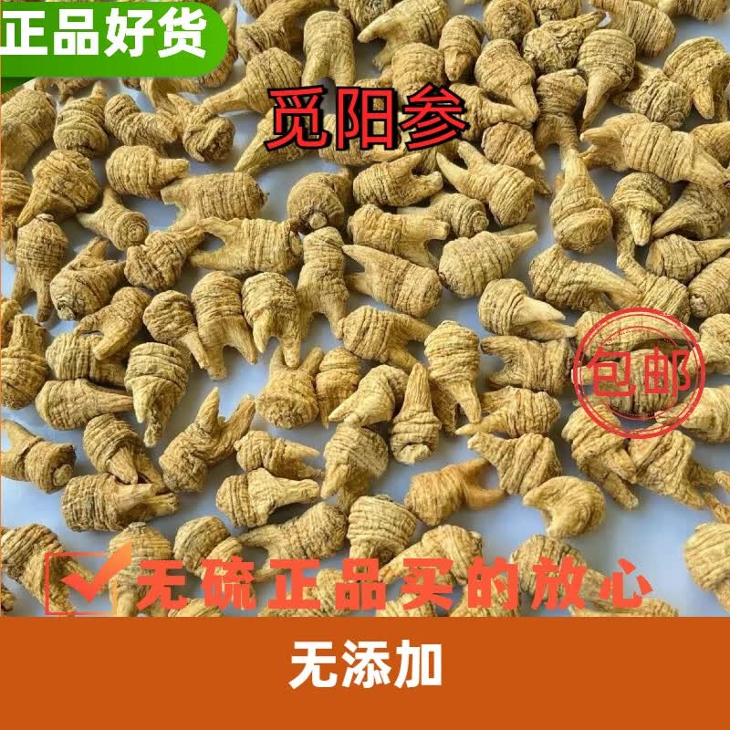 木格石山【觅阳参】觅阳参正品藏阳米参小粒牙参花旗参西洋参 【觅阳参】50克
