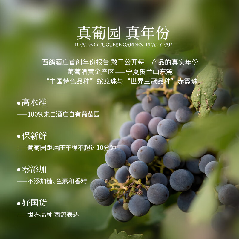 西鸽酒庄红酒N50干红葡萄酒宁夏贺兰山东麗葡萄酒送礼高档礼盒装 西鸽N50整箱礼盒装 750ml*6瓶