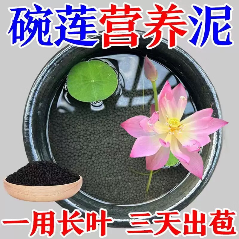 碗蓮營養(yǎng)泥陶粒砂魚缸底砂不粉化睡蓮銅錢草專用泥水培植物不渾水 凈水版免洗碗蓮專用泥5斤