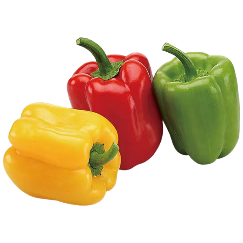 ������ ɽ����ɫ԰�ʽ� Բ���������߲� ����3��Դͷֱ������