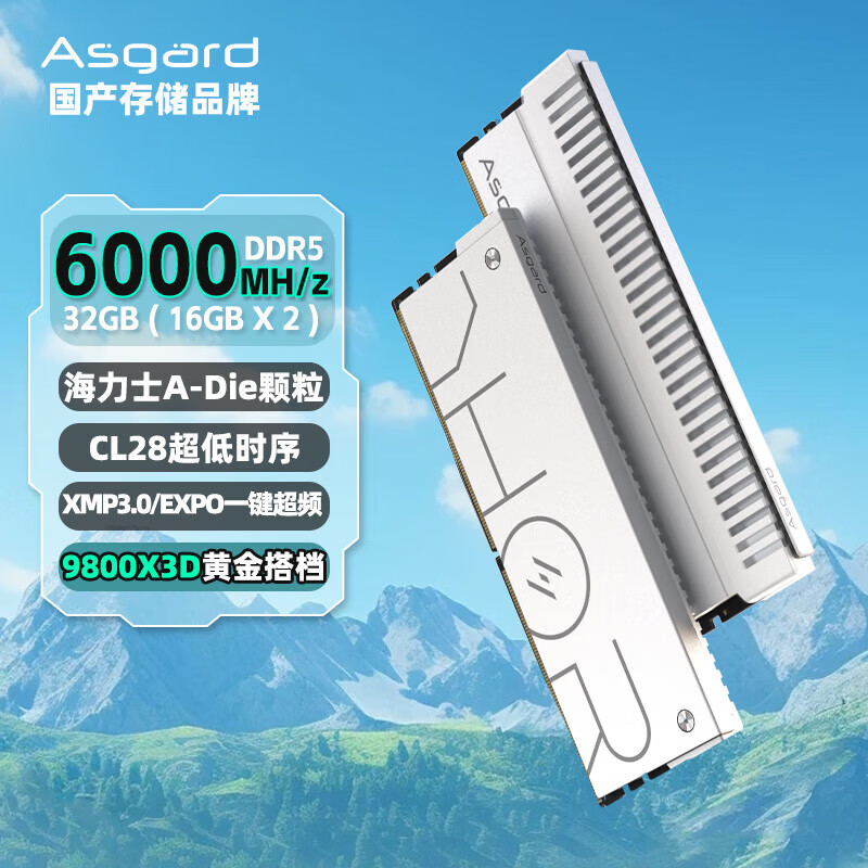 阿斯加特（Asgard）32GB 6000/6400/6800/7200/8000 DDR5台式机内存条 雷神索尔马甲条 32G(16x2) 6000 C28A-die银