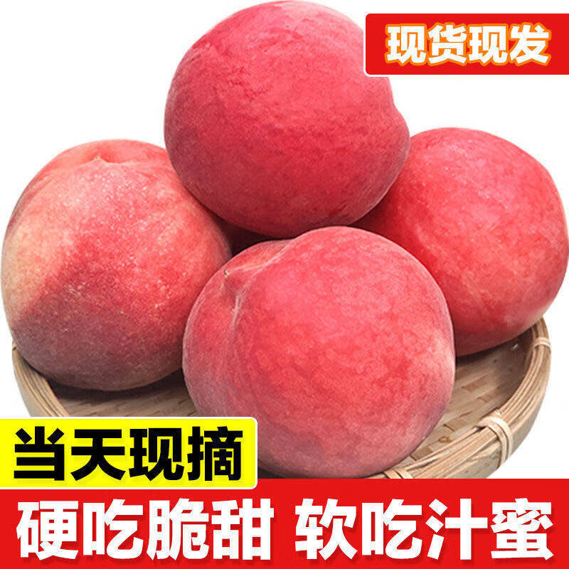 采緹現(xiàn)摘春雪水蜜桃5斤 冬脆桃毛桃當(dāng)季時(shí)令整箱孕婦桃子新鮮水果 一斤裝 單果140g起