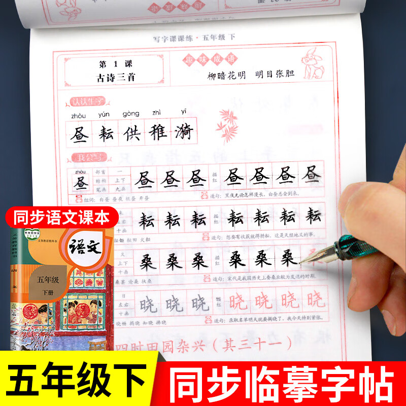 五年级下册练字帖人教版语文同步写字课课练每日一练小学生控笔训练 田英章楷书临摹生字帖5年级下学期专用抄 语文 同步临摹字帖 五年级下