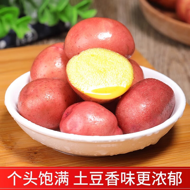 北森南屿云南新鲜红皮土豆红皮黄心马铃薯乡村洋芋高原现挖蔬菜 9斤小果