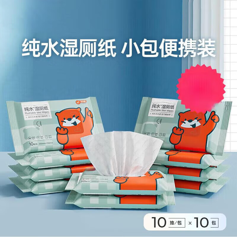 小包便携装菊部用纸擦屁屁湿巾湿厕纸湿手纸【包装随机发货】 湿厕纸10抽*10包 20cm*15cm
