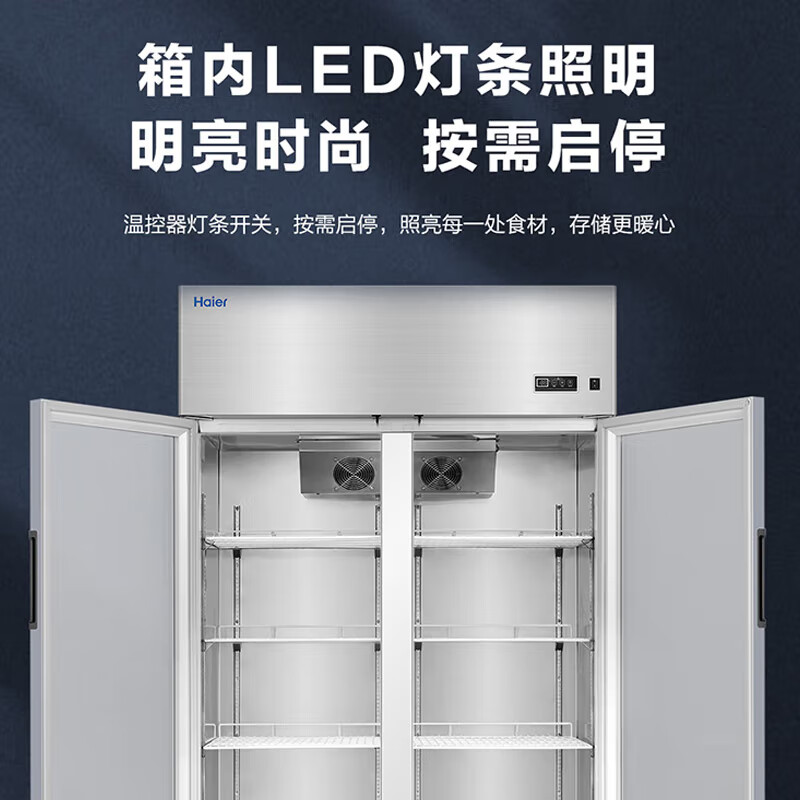 2025年冰箱展示柜十大品牌排行榜:这10款大容量,冷藏更持久-图片7